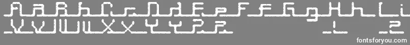 Шрифт Transcript ffy – белые шрифты на сером фоне
