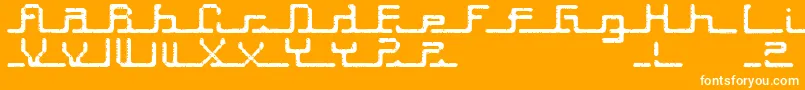 Transcript ffy Font – White Fonts on Orange Background