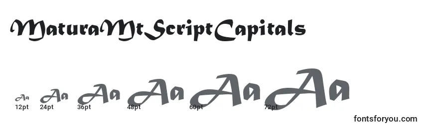 MaturaMtScriptCapitals Font Sizes