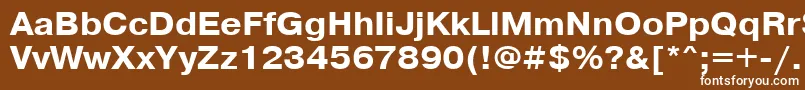 Czcionka PragmaticacttBold105b – białe czcionki na brązowym tle
