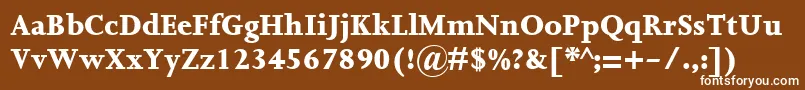 Czcionka JoannaMtExtrabold – białe czcionki na brązowym tle