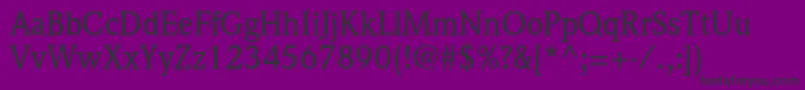 WeidemannstdMedium Font – Black Fonts on Purple Background