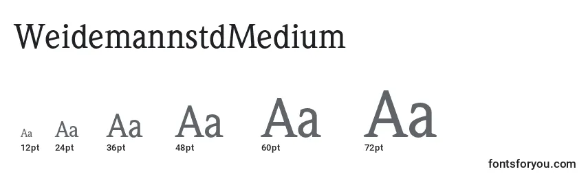 WeidemannstdMedium Font Sizes
