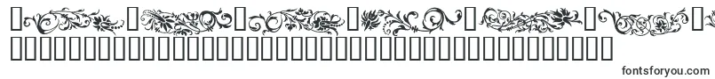 Шрифт FlowerOrnaments – шрифты для Adobe Illustrator