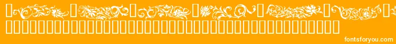 FlowerOrnaments-Schriftart – Weiße Schriften auf orangefarbenem Hintergrund