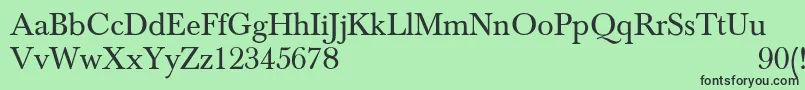 NewbaskervilleNormal Font – Black Fonts on Green Background