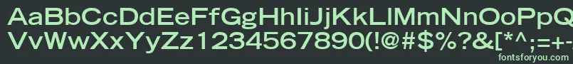 フォントTradeGothicLtBoldExtended – 黒い背景に緑の文字