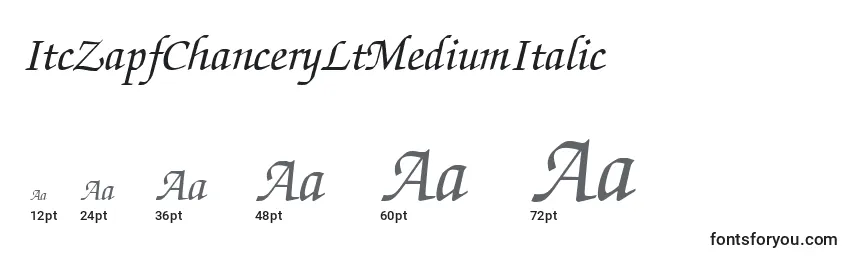 Размеры шрифта ItcZapfChanceryLtMediumItalic