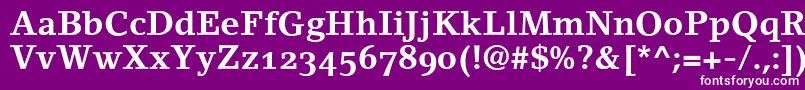 LinoletterBoldOldstyleFigures Font – White Fonts on Purple Background