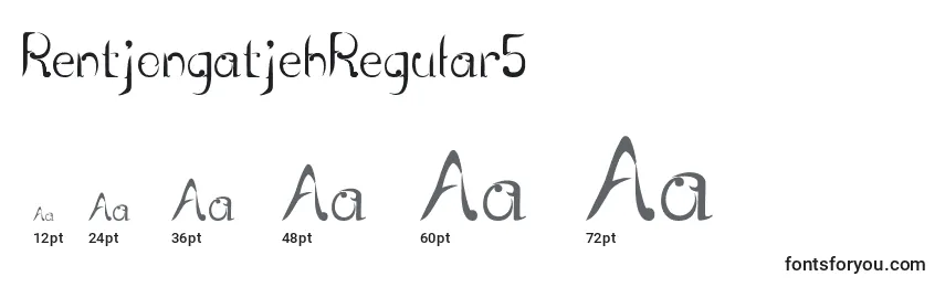 Размеры шрифта RentjongatjehRegular5