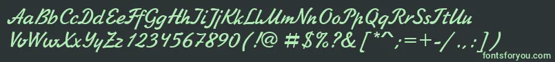 フォントZhkC – 黒い背景に緑の文字