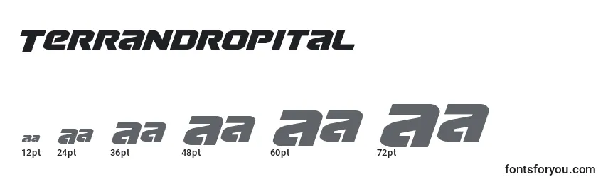 Terrandropital Font Sizes