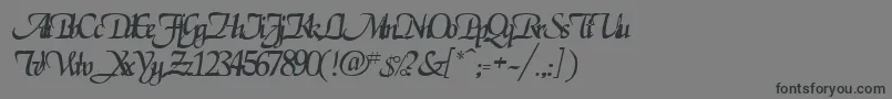 RoslagenRegular Font – Black Fonts on Gray Background