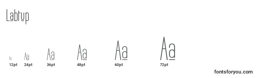 Labtup Font Sizes