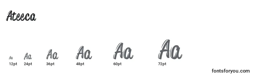 Ateeca Font Sizes