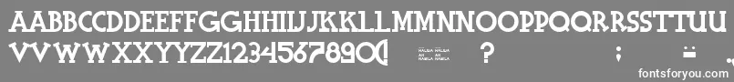 HalidiansBlockserif Font – White Fonts on Gray Background