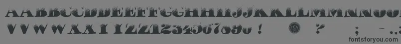 PuchaDawn-Schriftart – Schwarze Schriften auf grauem Hintergrund