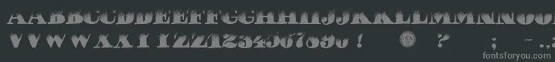 PuchaDawn Font – Gray Fonts on Black Background