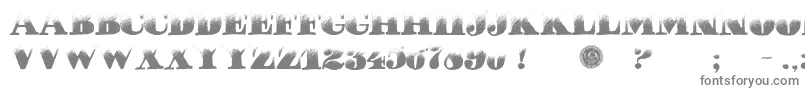 PuchaDawn Font – Gray Fonts on White Background