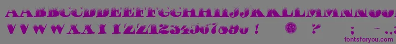 PuchaDawn-Schriftart – Violette Schriften auf grauem Hintergrund