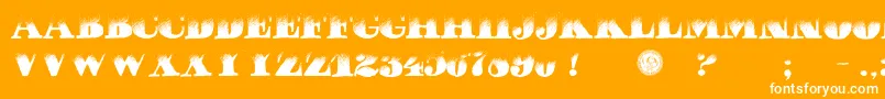 PuchaDawn Font – White Fonts on Orange Background