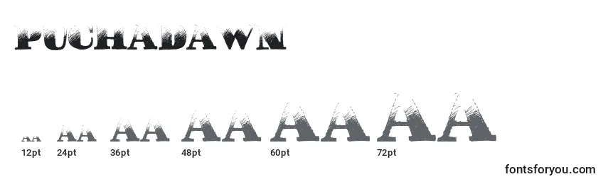 Размеры шрифта PuchaDawn