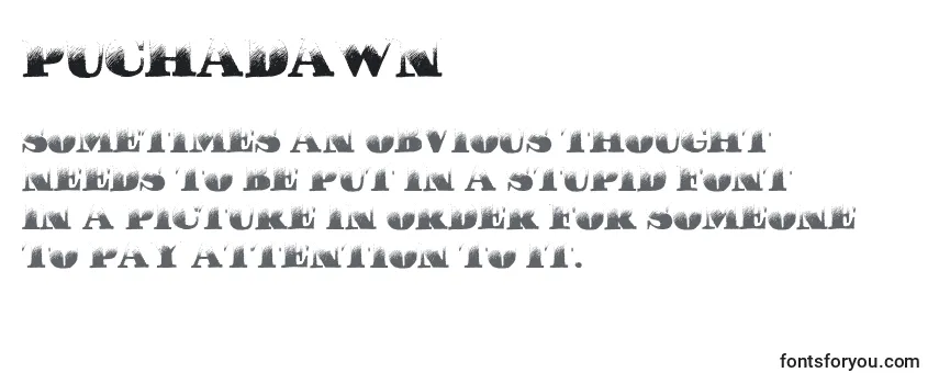 PuchaDawn Font