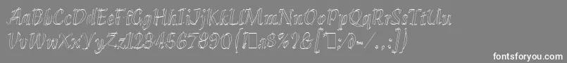 フォントKleeLetPlain.1.0 – 灰色の背景に白い文字