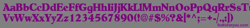 OldcenturyRegular Font – Purple Fonts on Gray Background