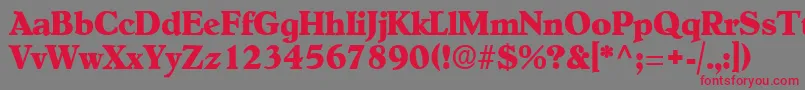 フォントOldcenturyRegular – 赤い文字の灰色の背景