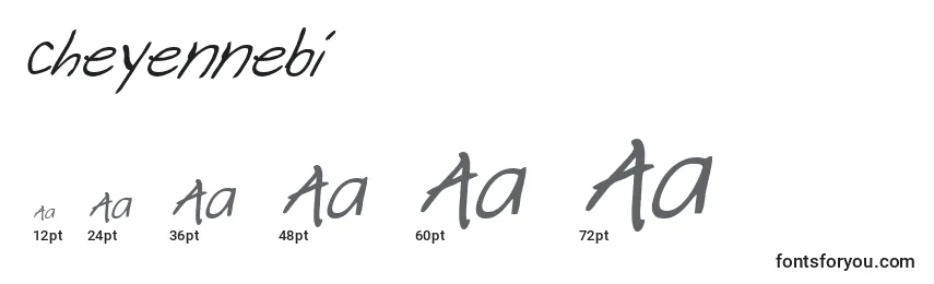 Размеры шрифта Cheyennebi
