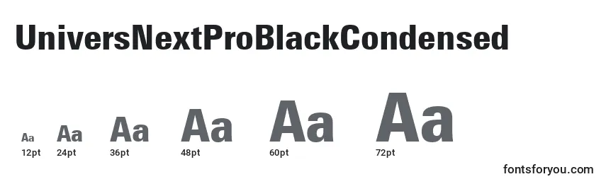 UniversNextProBlackCondensed Font Sizes