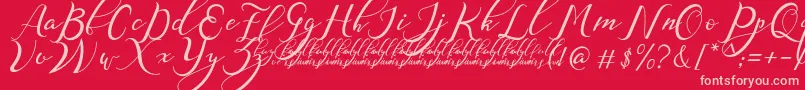 NazeefaDemo Font – Pink Fonts on Red Background