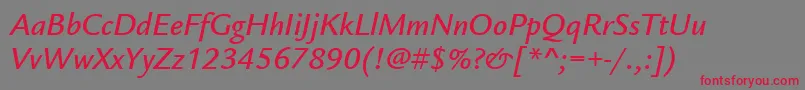 ItcLegacySansLtMediumItalic Font – Red Fonts on Gray Background
