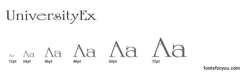 Размеры шрифта UniversityEx