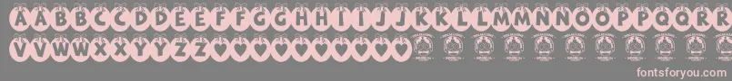 RyTha Font – Pink Fonts on Gray Background