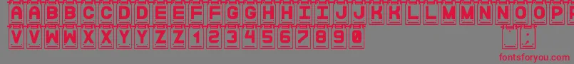 DataCardsSt Font – Red Fonts on Gray Background