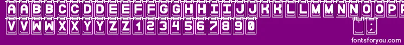 DataCardsSt Font – White Fonts on Purple Background