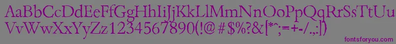 BambergantiqueLightRegular Font – Purple Fonts on Gray Background