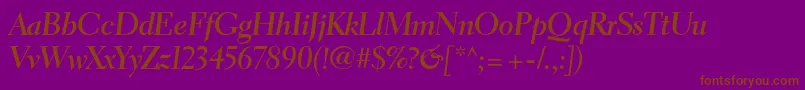 ElectraltstdBoldcursivedis Font – Brown Fonts on Purple Background