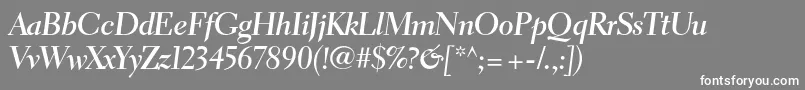 ElectraltstdBoldcursivedis Font – White Fonts on Gray Background