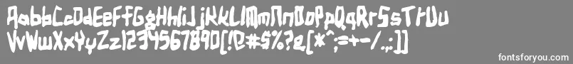 フォントBirdlanb – 灰色の背景に白い文字