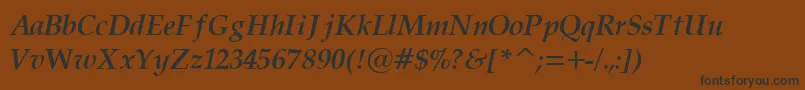 PalatinoCyrillicBoldItalic Font – Black Fonts on Brown Background