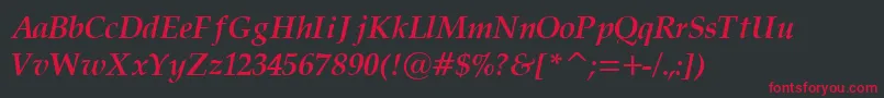 PalatinoCyrillicBoldItalic Font – Red Fonts on Black Background