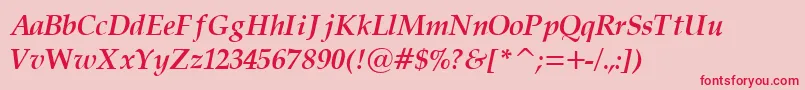 PalatinoCyrillicBoldItalic Font – Red Fonts on Pink Background