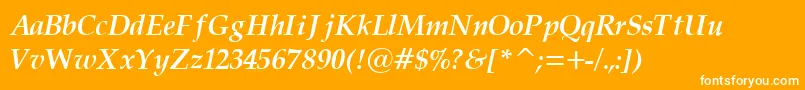 PalatinoCyrillicBoldItalic Font – White Fonts on Orange Background