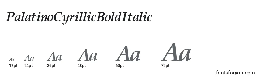 Größen der Schriftart PalatinoCyrillicBoldItalic