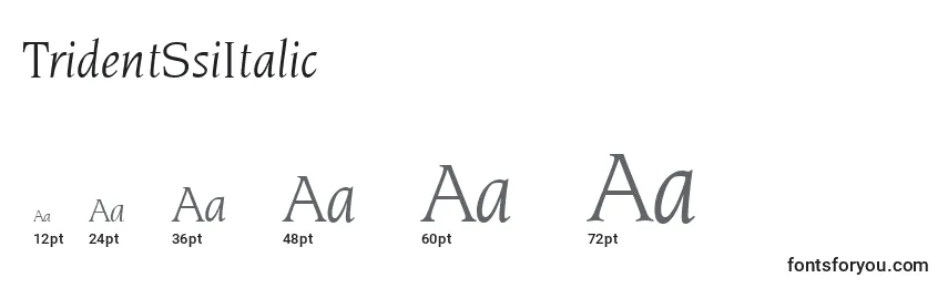 Размеры шрифта TridentSsiItalic