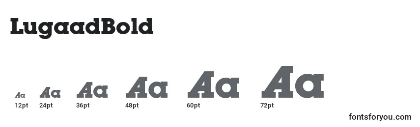 LugaadBold Font Sizes