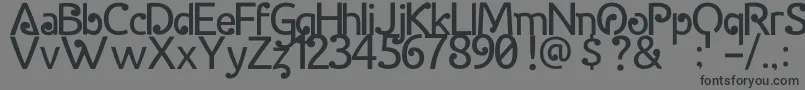 HalidaSans Font – Black Fonts on Gray Background